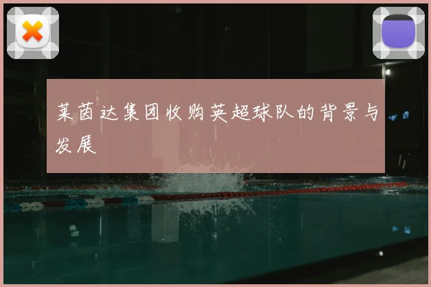 莱茵达集团收购英超球队的背景与发展