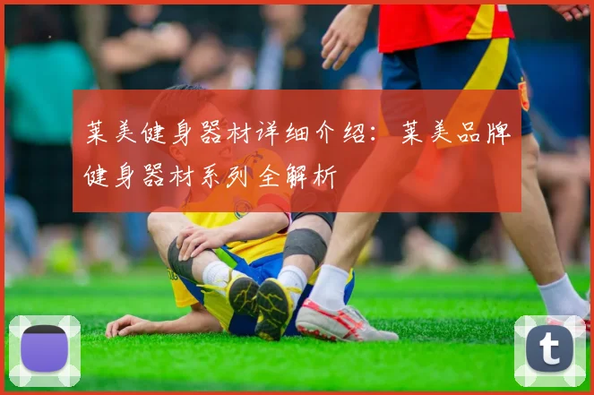 莱美健身器材详细介绍：莱美品牌健身器材系列全解析