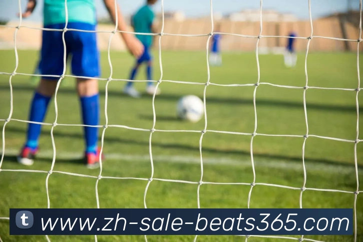 beats365平台生态图